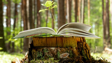 Open book on tree stump in the forest with a seedling growing from it. As Domtar celebrates 175 years, we reflect on our sustainability story.