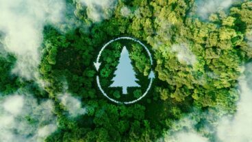 Drone image of forest with tree-shaped lake superimposed. Sustainable forest certification on paper and packaging is a reassuring sign for earth-conscious consumers.