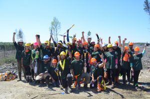 Domtar Guinness World Record for Tree Planting