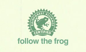 follow the frog campaign