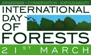sustainably managed forests