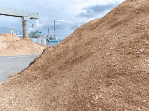 biomass is an important part of our renewable energy plan