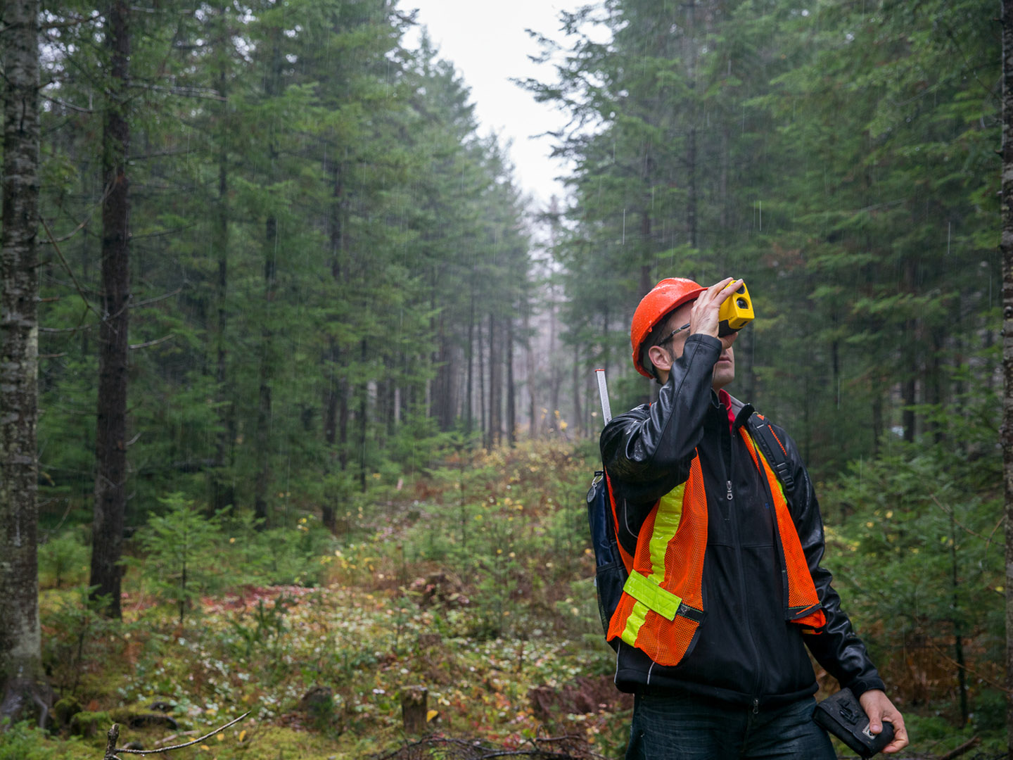 WIndsor forestry and climate research