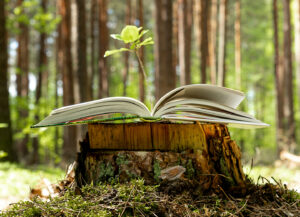 Open book on tree stump in the forest with a seedling growing from it. As Domtar celebrates 175 years, we reflect on our sustainability story.