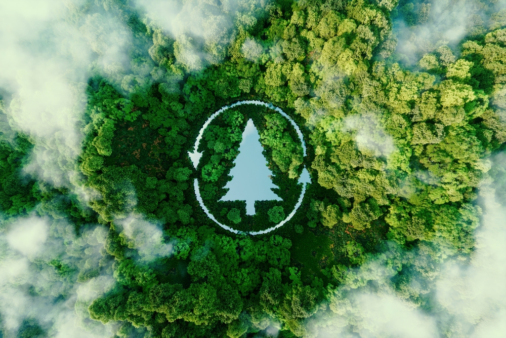 Drone image of forest with tree-shaped lake superimposed. Sustainable forest certification on paper and packaging is a reassuring sign for earth-conscious consumers.